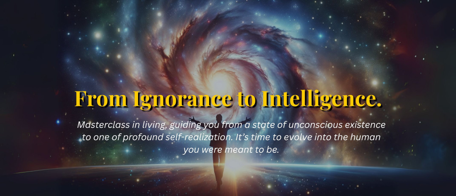 FUTURIZE eSHOP promo